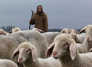 Gut geblökt: Jobbörse für Schäfer – stellenmarkt-schafe.eu