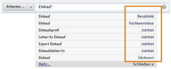 direct-search-stepmatch-beispiel-2