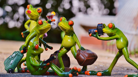 frogs-group-photographer-450
