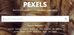 pexels-homepage